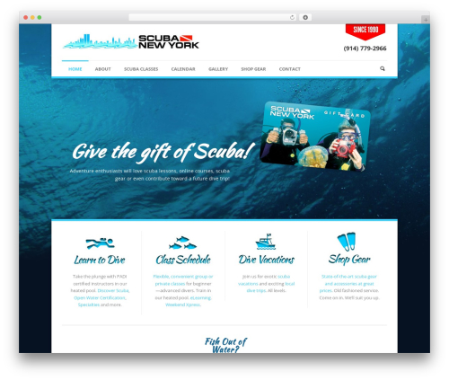 Theme WordPress Phoenix - scubanewyork.com