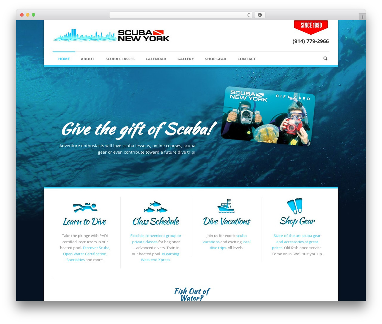 Theme WordPress Phoenix - scubanewyork.com Theme WordPress Phoenix - scubanewyork.com