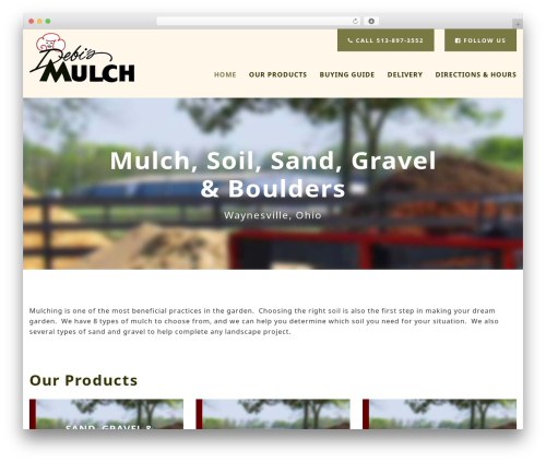 WebSource best WordPress theme - debismulch.com