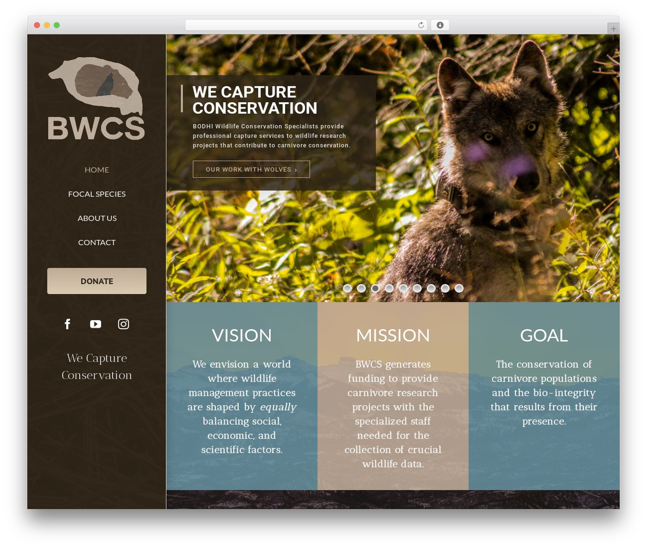 WordPress theme Avada - bodhiwcs.org WordPress theme Avada - bodhiwcs.org