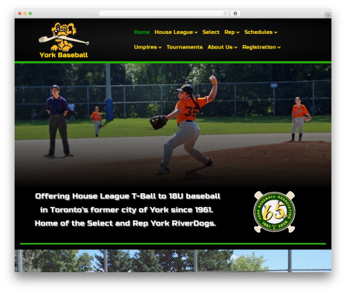 Teamsnap_wordpress WordPress plugin - yba.ca