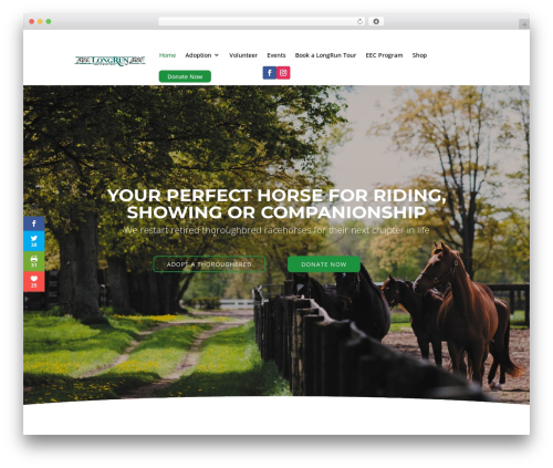 WordPress theme Divi - longrunretirement.com
