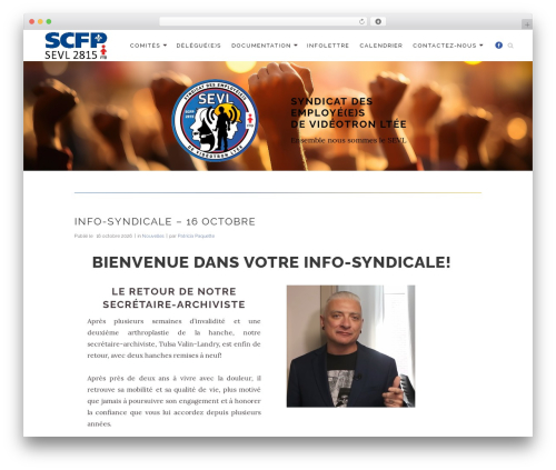 Bodega WP theme - sevl-scfp-2815.com