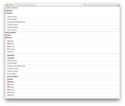 Flexora WordPress theme - cagrialtuntas.com