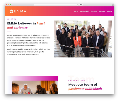 Ctcore WordPress plugin - emma-group.eu