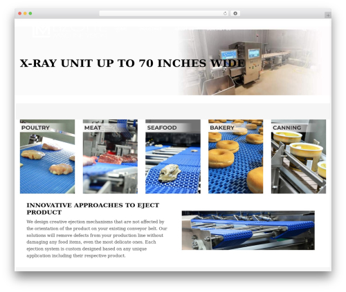 Theme WordPress Bazz - lizottemachinevision.com
