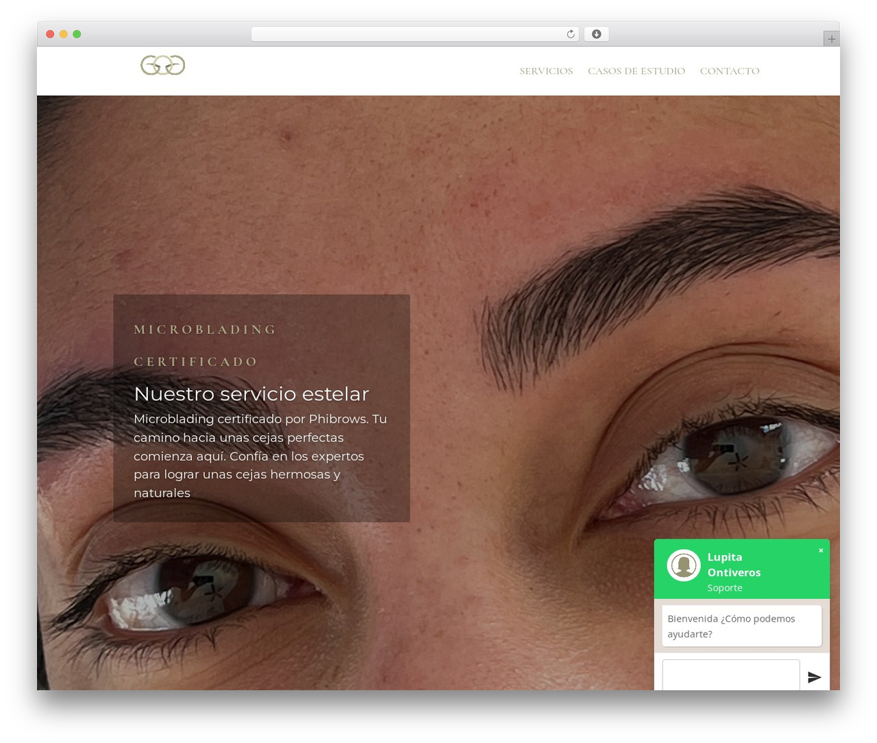 WordPress theme Divi - lupitaontiveros.com