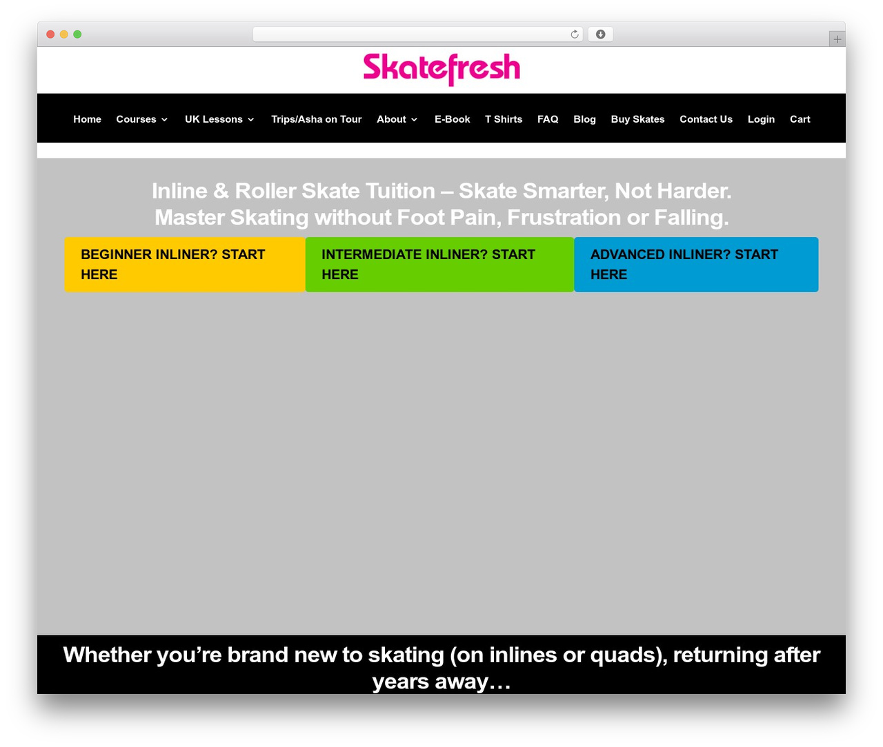 WordPress theme Divi - skatefresh.com