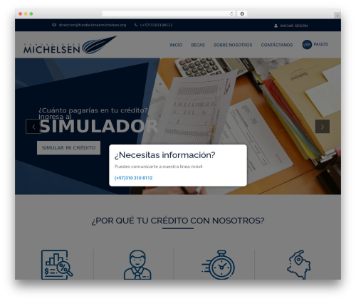 WordPress theme Master Template - fundacionesmichelsen.org