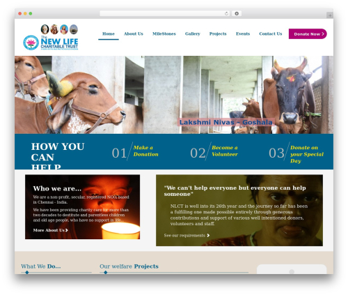 Best WordPress theme Flat Theme - newlifecharitabletrust.org Best WordPress theme Flat Theme - newlifecharitabletrust.org