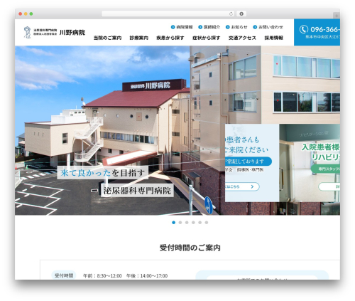 Best WordPress theme 川野病院 - kawano-hp.jp