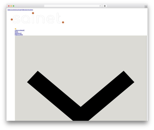 Bricks WordPress theme - sainet.co