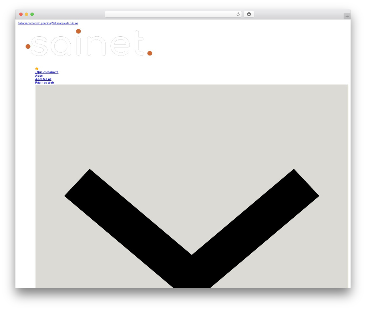 Bricks WordPress theme - sainet.co