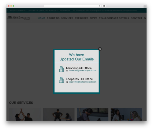 Allinoneaddons363 WordPress plugin - lusakachiropractic.com