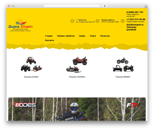 Diana WordPress theme - dianasport.ru