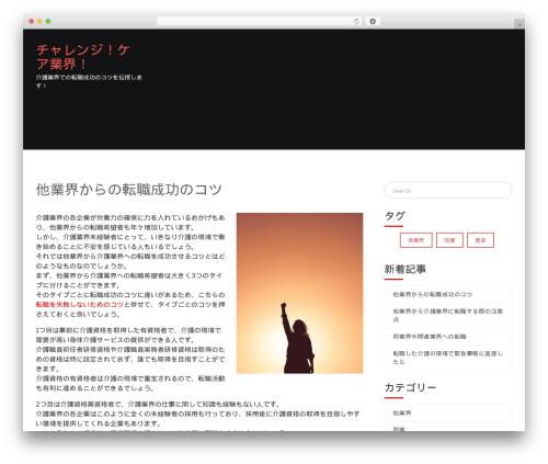 elemento WordPress theme design - avenstudios.net