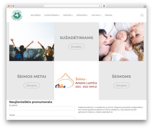 Flash WordPress theme - lietuvosseimoscentras.lt