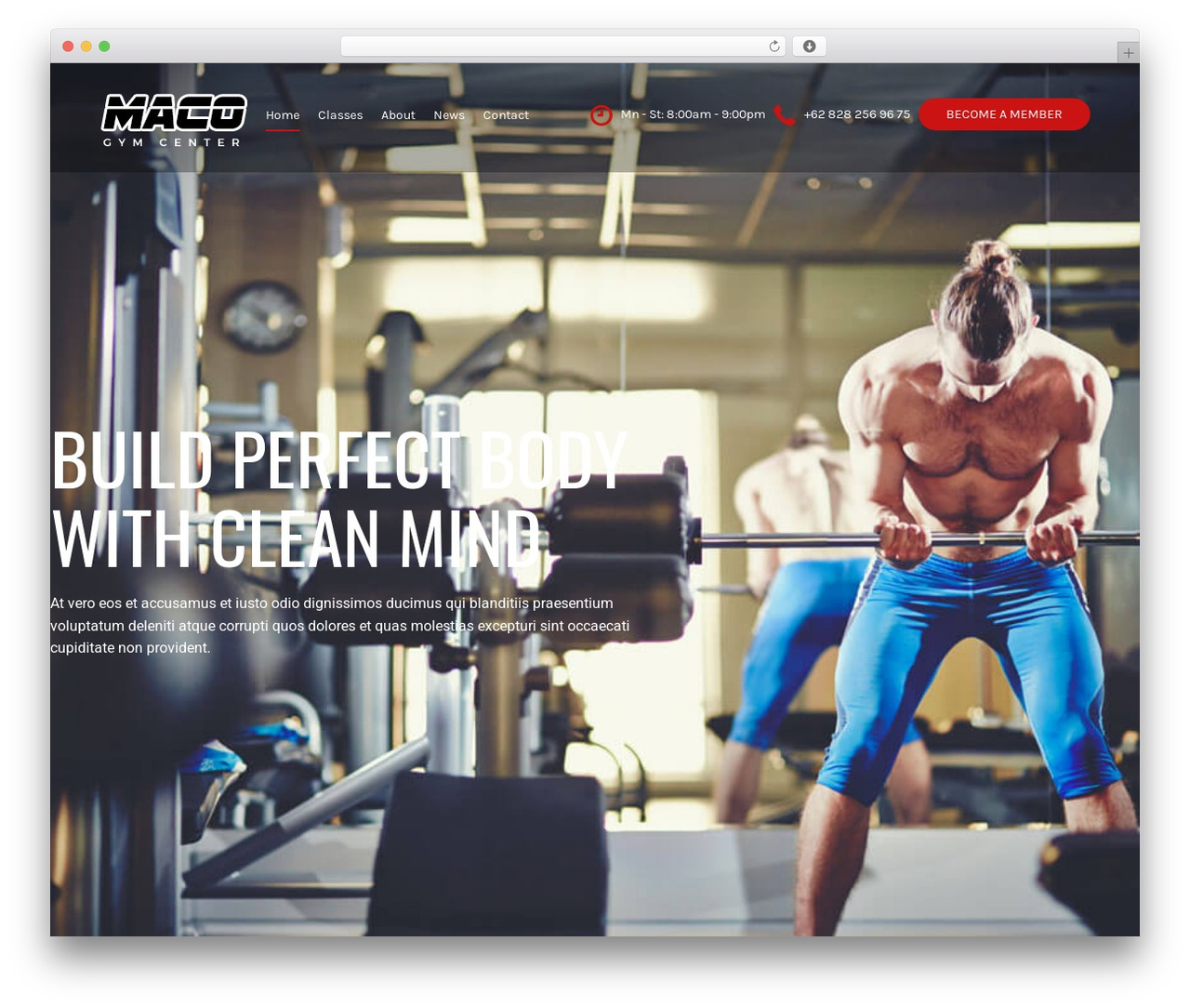 Maco WordPress theme - maco.themesawesome.com