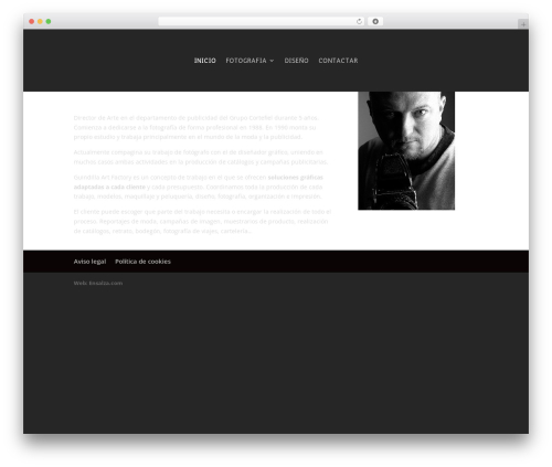 Theme WordPress Divi - guindilla-art.com