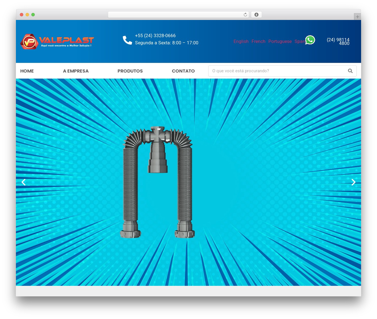 Theme WordPress Hello Elementor - valeplast.com.br