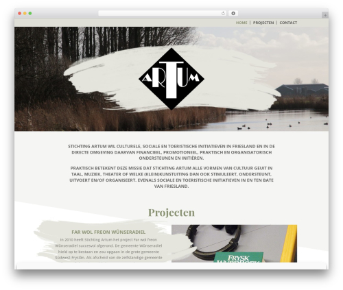 WordPress theme Divi - artum.info