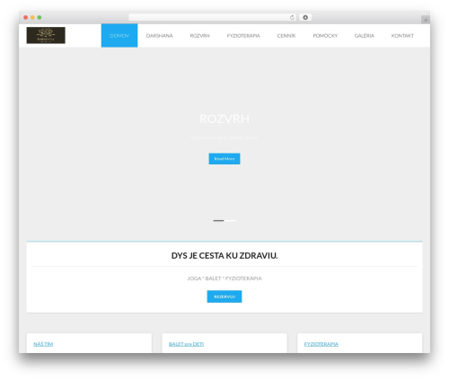 FeedFocal (feedfocal) free WordPress plugin - dys.sk