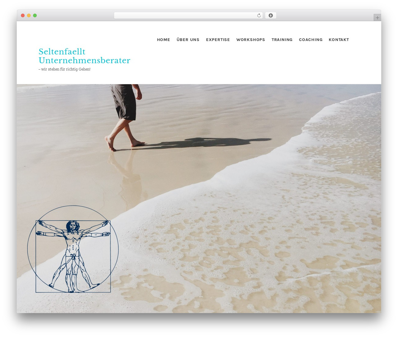 Efor theme WordPress - seltenfaellt.de