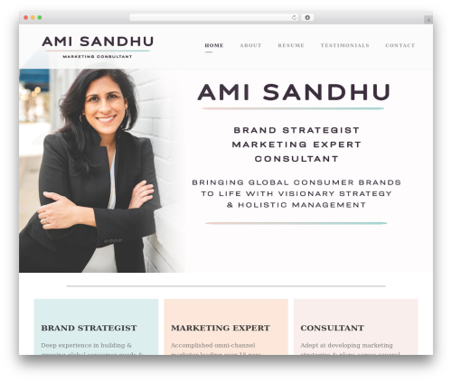 Kleanity WordPress theme - amisandhu.com