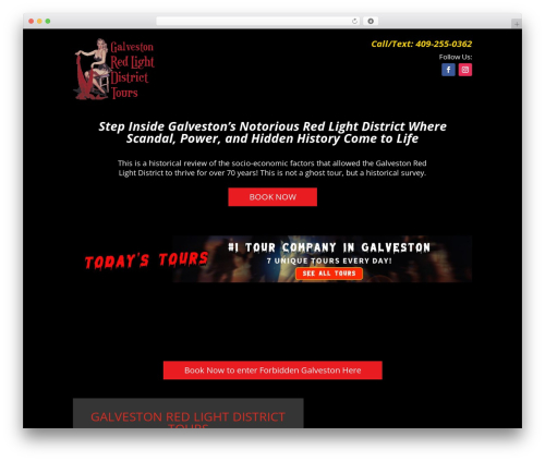 Divi next blurb WordPress plugin - galvestonredlightdistricttour.com