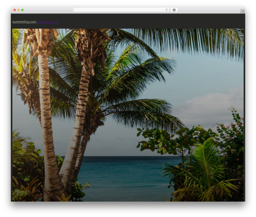 Beyondseo WordPress plugin - summerling.com