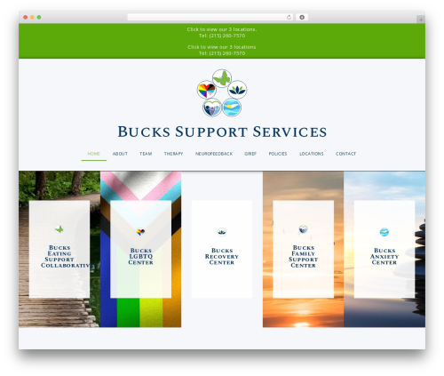 Hello Elementor top WordPress theme - buckssupportservices.com