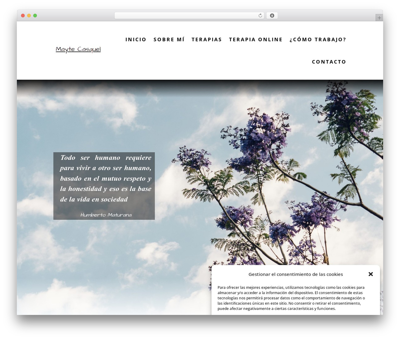 WordPress theme Divi - maytecasquelpsicologa.es WordPress theme Divi - maytecasquelpsicologa.es