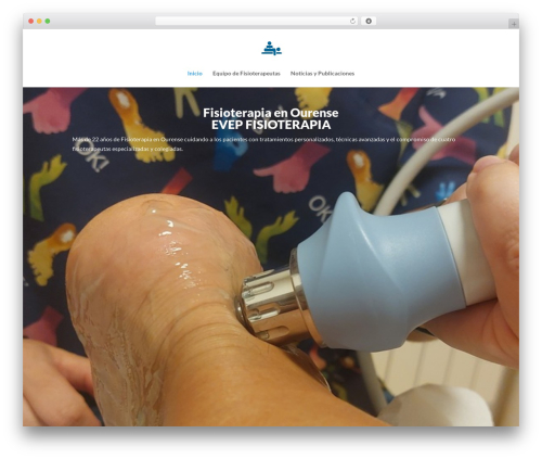 Exclusive divi WordPress plugin - evepfisioterapia.es