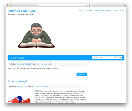 Lordicon WordPress plugin - bottomline.guru