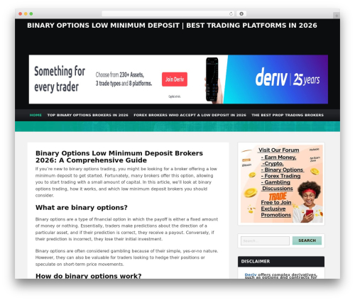 Theme WordPress Forex II Theme - 1binaryoptions.eu