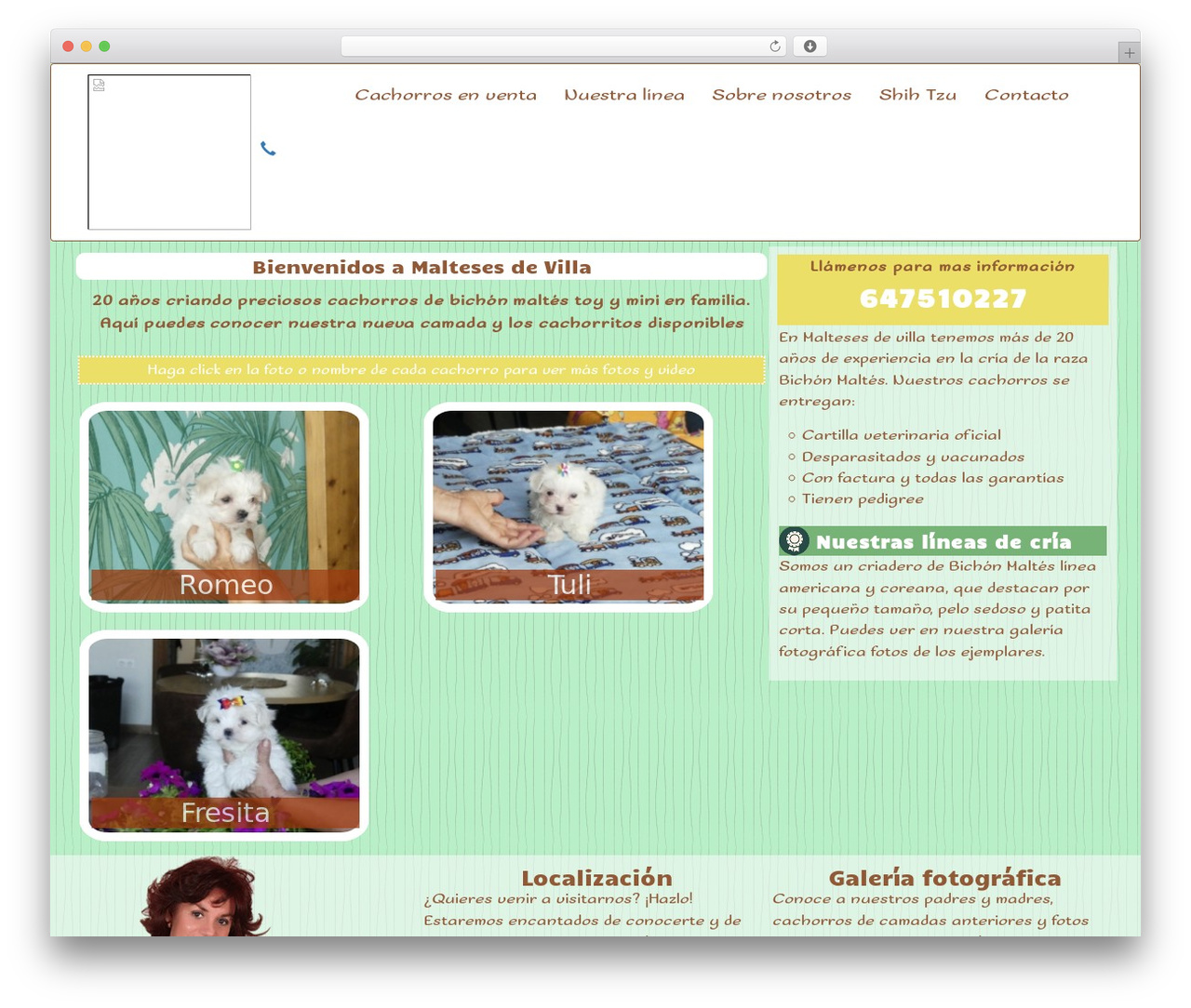Theme WordPress Blank Single One - criaderovilla.com