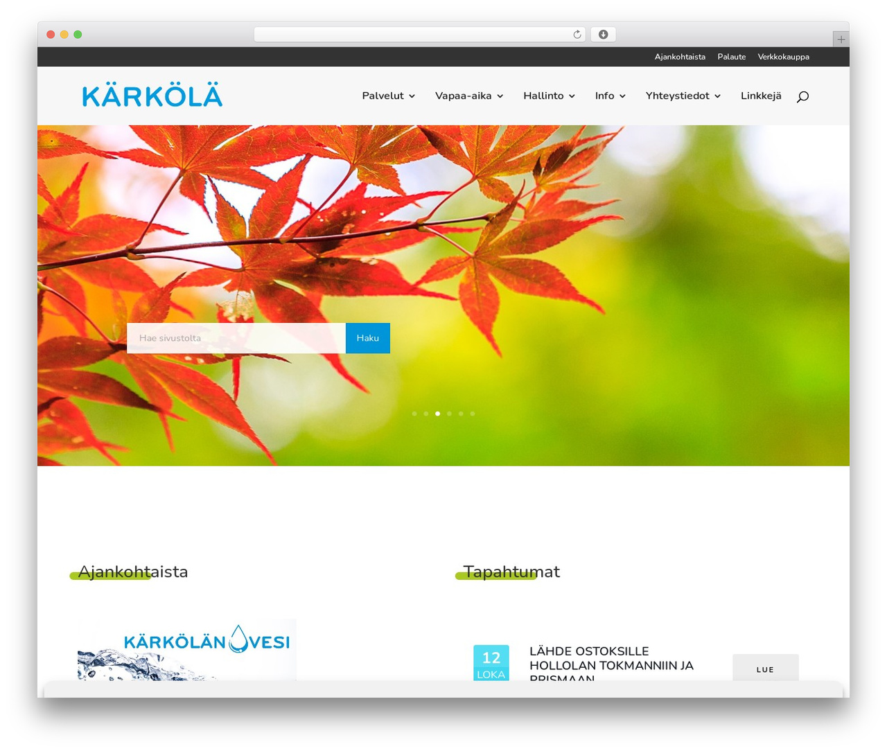 WordPress theme Divi - karkola.fi