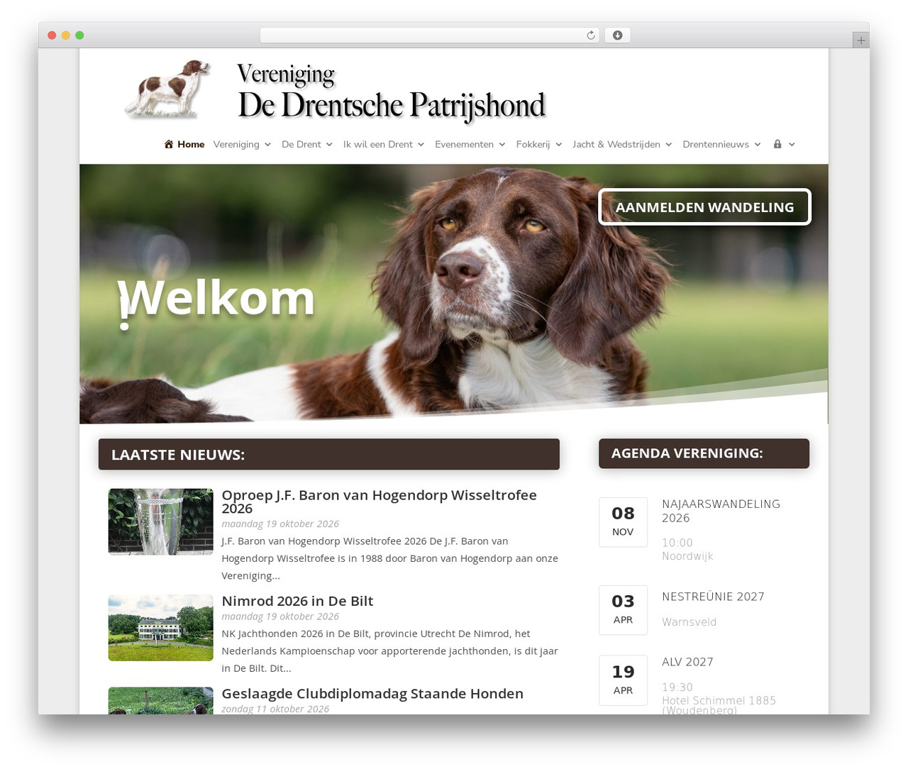 WordPress theme Divi - drentschepatrijshond.com WordPress theme Divi - drentschepatrijshond.com