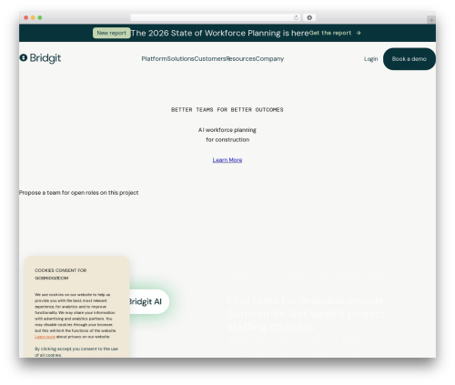 WordPress theme GoBridgit2025 - gobridgit.com