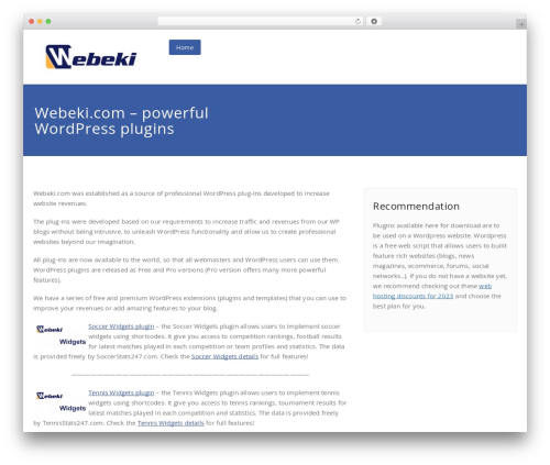 Appointment theme WordPress - webeki.com