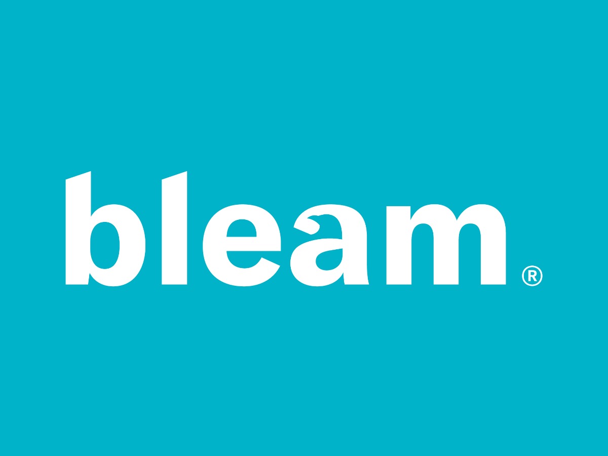 Bleam WordPress theme