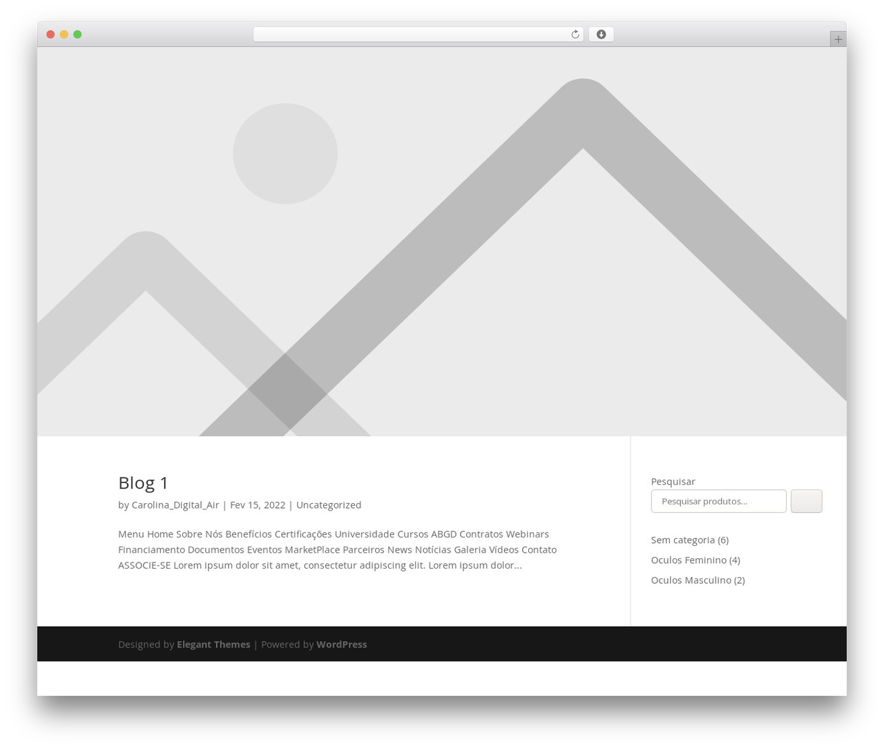 Divi WordPress theme - homologdigitalair.com.br
