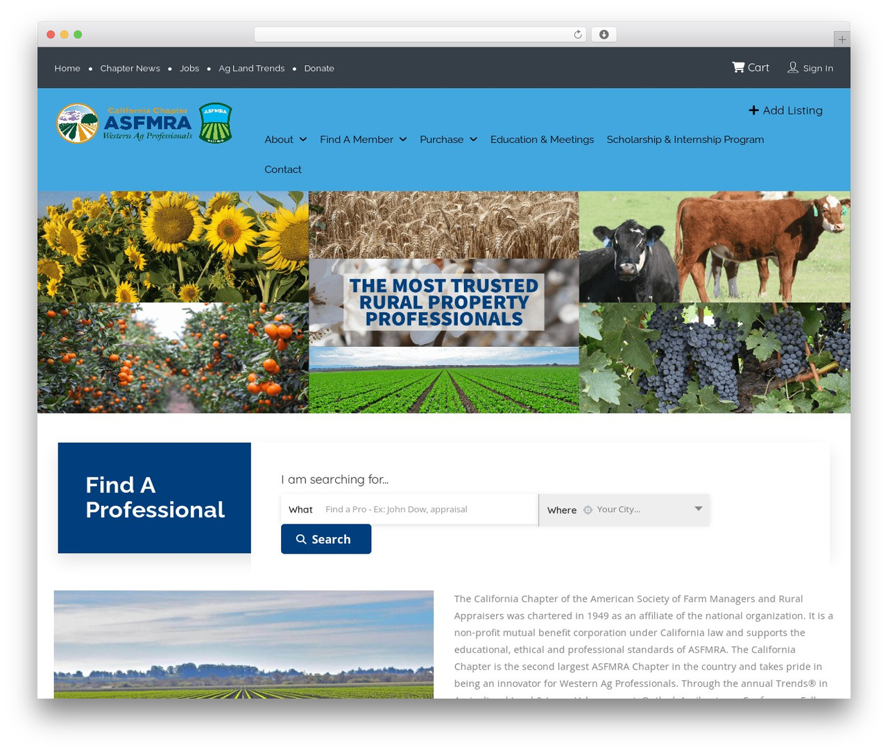 Listingpro Child theme WordPress - calasfmra.com