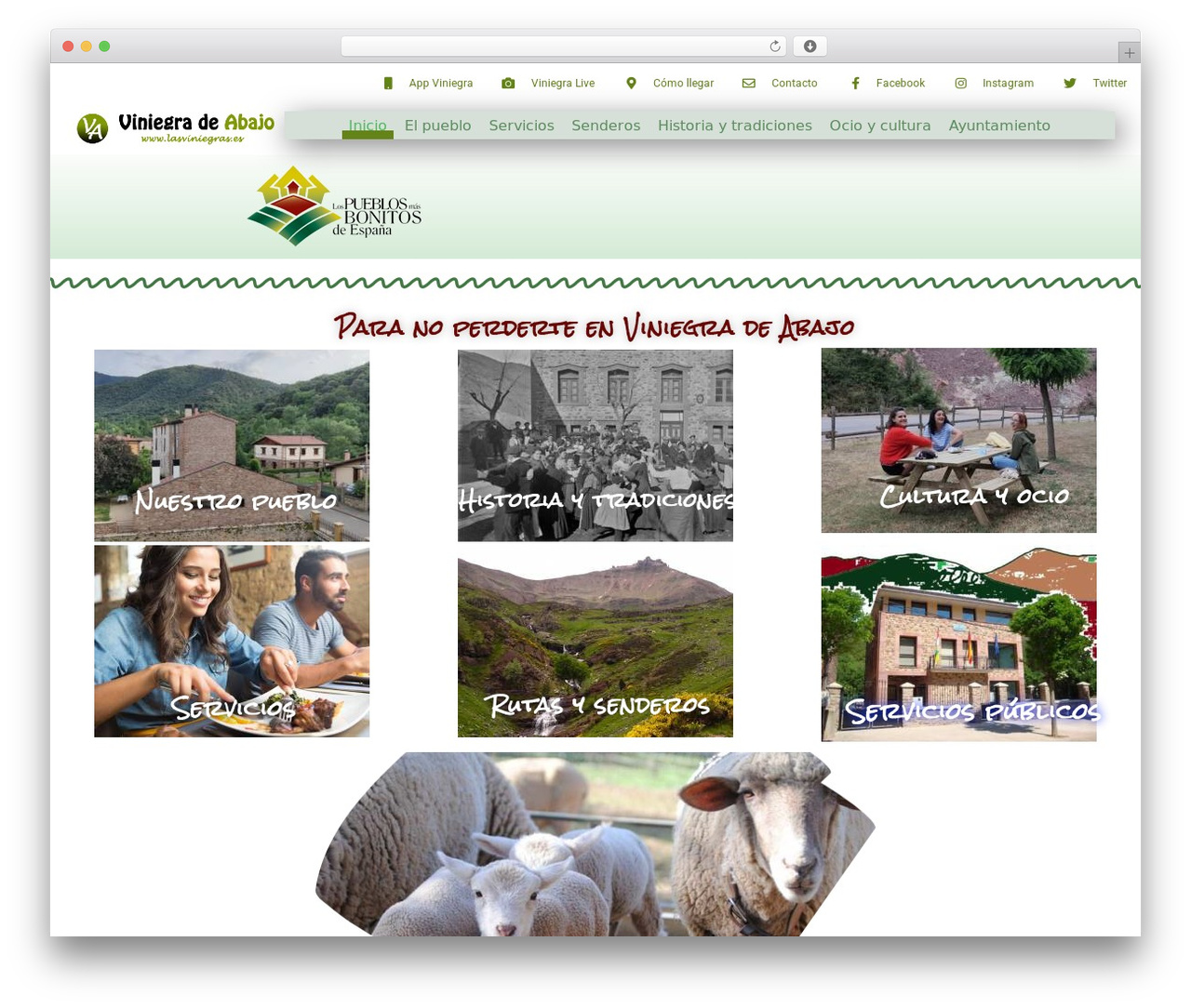 netbrainbase WordPress theme - lasviniegras.es netbrainbase WordPress theme - lasviniegras.es