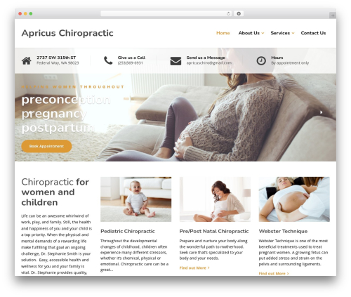 Physio-qt WordPress theme - seattlepediatricchiropractic.com