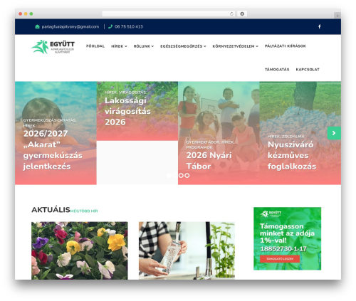Tmc posts WordPress plugin - parlagfuellenalapitvany.hu