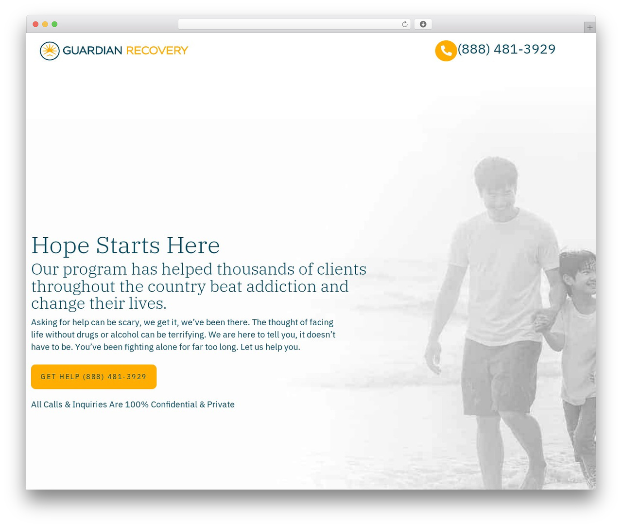 WordPress theme Hello Elementor - hope.guardianrecovery.com