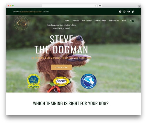 weForms – Easy Drag & Drop Contact Form Builder For WordPress (weforms) free WordPress plugin - stevethedogman.com weForms – Easy Drag & Drop Contact Form Builder For WordPress (weforms) free WordPress plugin - stevethedogman.com