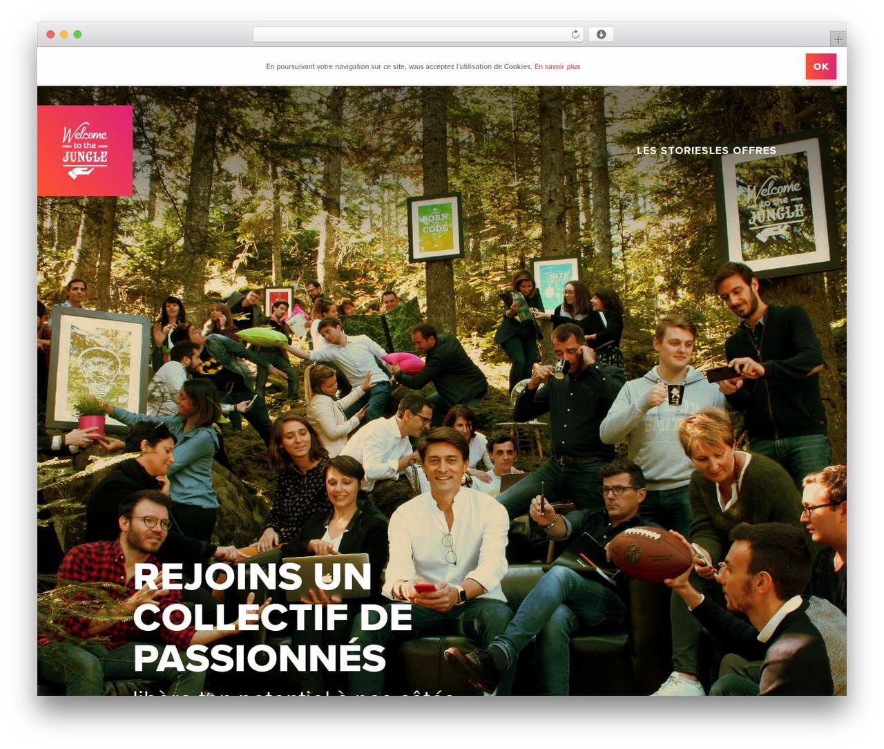 WP theme Iris interactive 2018 - www.welcometothejungle.team