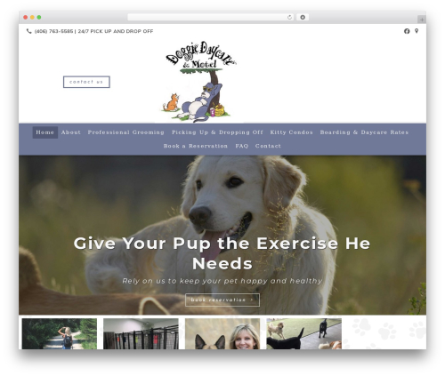 Best WordPress theme Beacon Theme - doggiedaycareandmotel.com